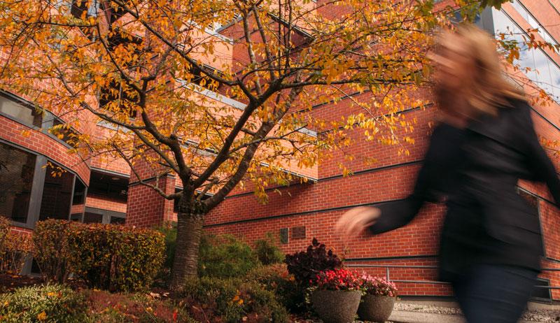 McKenna Hall in the autumn